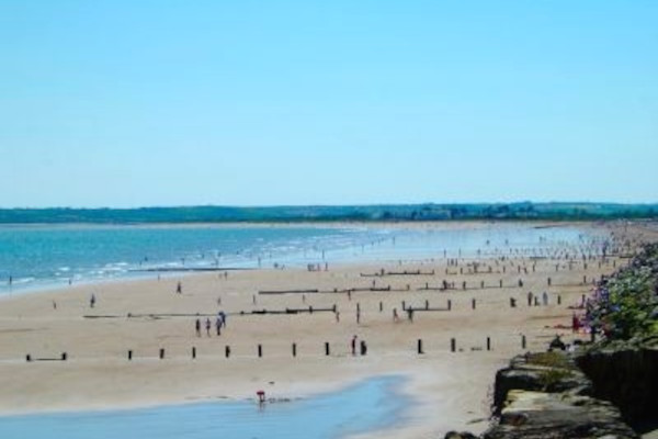 Youghal Beech